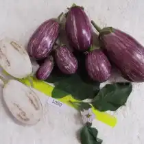 Баклажан Заморский полосатик