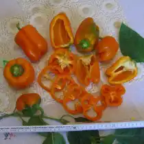 Перца Братец лис