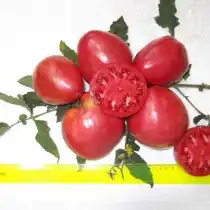 Томат Сахарный Бизон