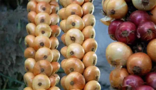 Луковые косички