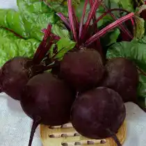 Свёкла Мулатка