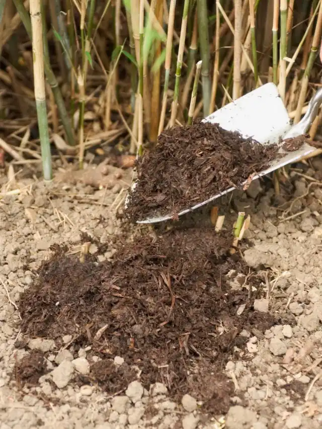 Внесение органических удобрений в саду