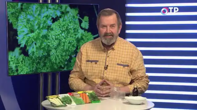 Як правильно підготувати насіння