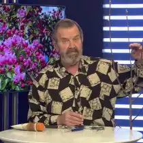 Обрезаем следующую ветвь над почкой ниже уровня верхней ветви