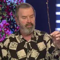 Обрезаем все ветви поочерёдно, ниже уровня предыдущей обрезки