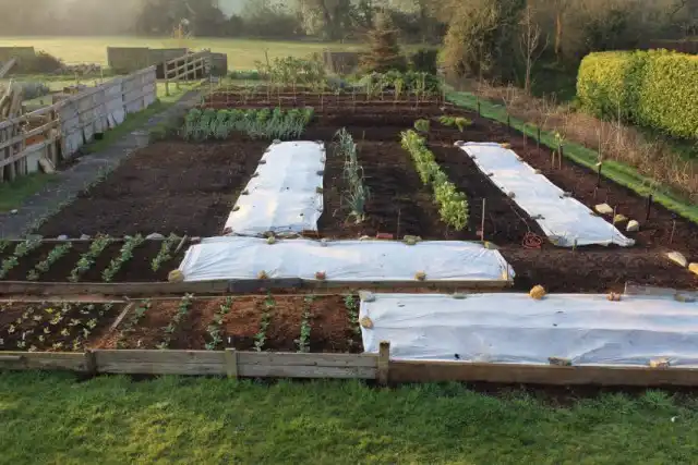 Весеннее формирование грядок