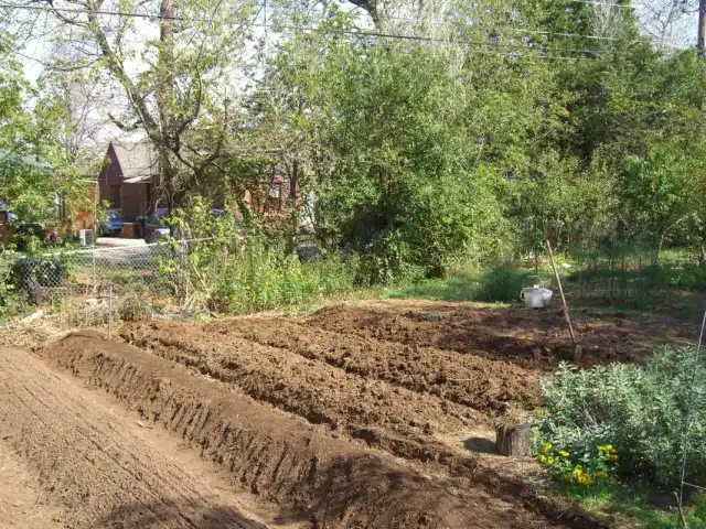 Рядковый способ обустройства огорода