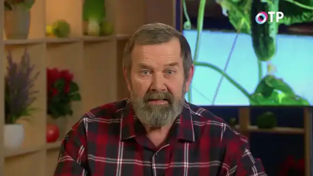 Як визначити схожість старого