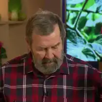 Подготовим лоскут ткани для замачивания семян