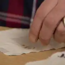 Высыпем на ткань семена для проращивания