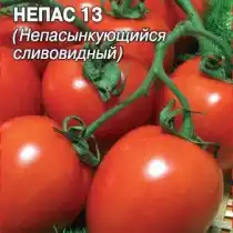 Томат сорта «Непас 13» (Сливовидный)