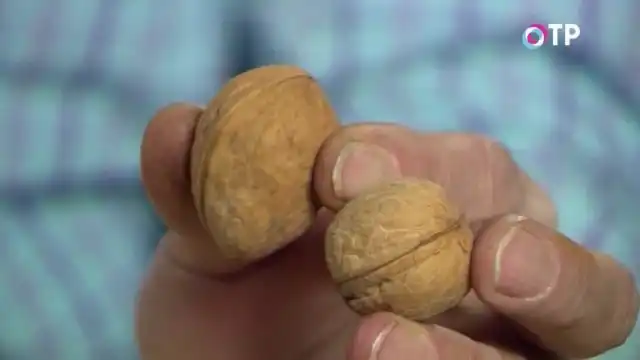 Грецкий орех