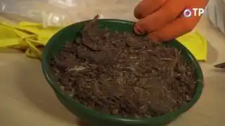 Крупноволокнистый торф