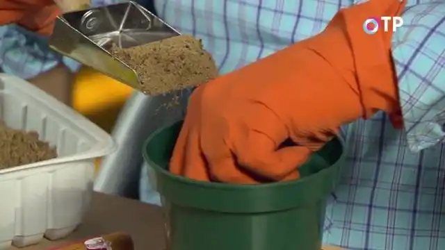 Засыпаем орешки инертным субстратом