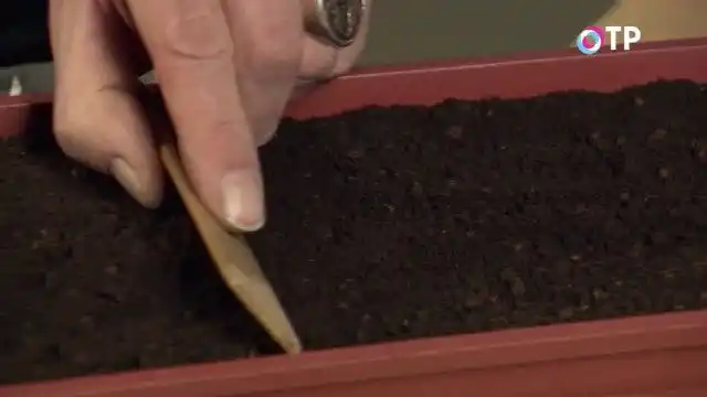 Выравниваем и измельчаем почву