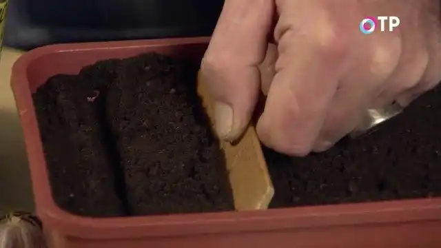 Делаем бороздки глубиной около 3см