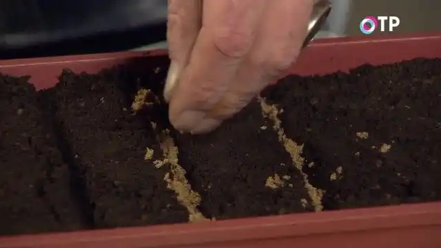 Присыпаем канавки речным песком