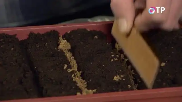 Реечкой уплотняем песочек