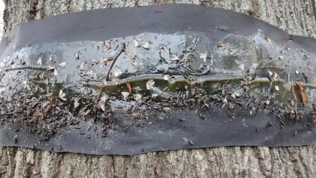 Ловчий пояс