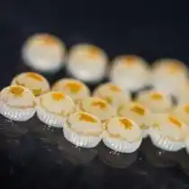 Яйцекладка совки капустной