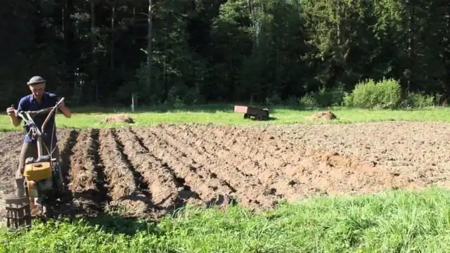 Вспаханный культиватором участок