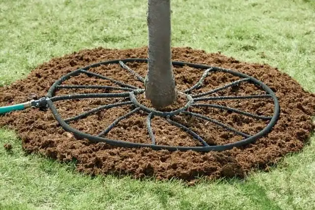 Система полива садовых деревьев