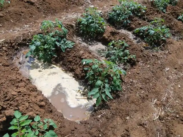 Полив в специальные канавки