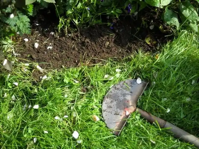 Прополка сорняков