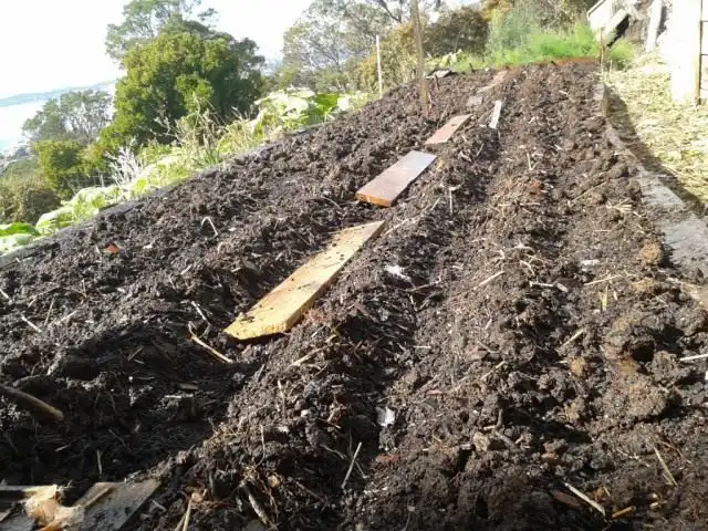 Грядки удобренные органикой и ЭМ-препаратами