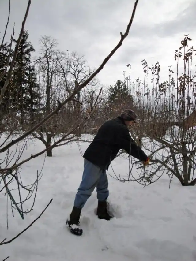 Проводим оценочную и формирующую обрезку
