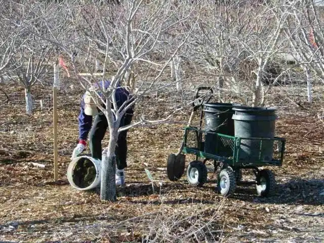 Начинаем вносить удобрения