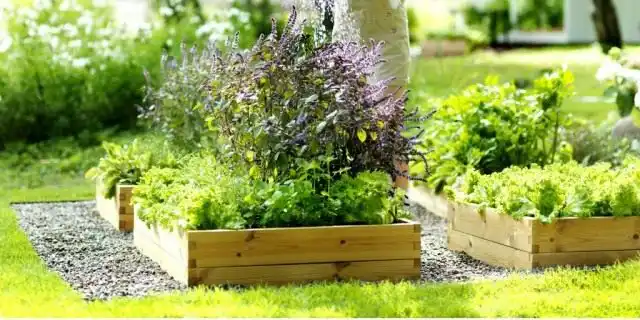 Теплая грядка не разваливается и не «расползается»