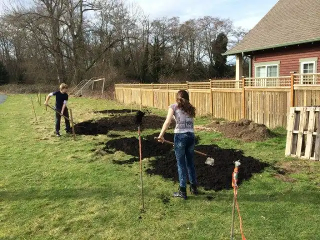При необходимости проведите улучшения состояния почвы в саду