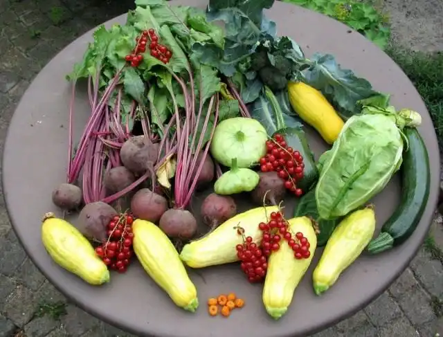 Летний урожай