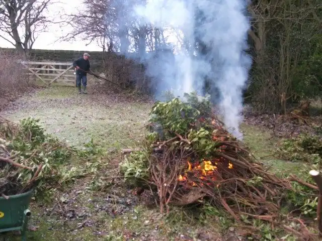 Задымление сада