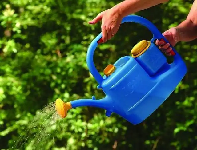 Подкормка растений как защита от заморозков