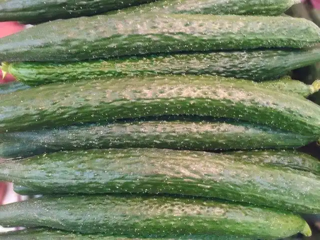 Огурец китайский