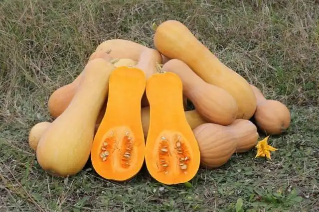 Цей дивовижний сквош.