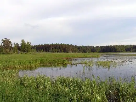 З-під води дістали