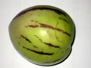 Пепино, или Дынная груша