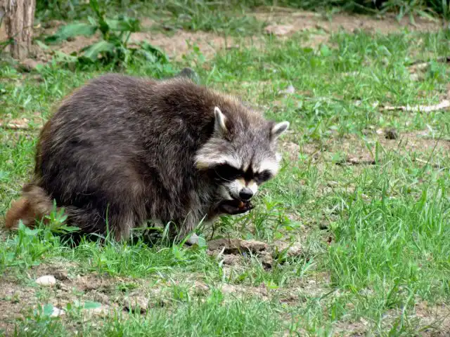 Я уверен, что свою жизнь и самого себя можно очень сильно поменять за год