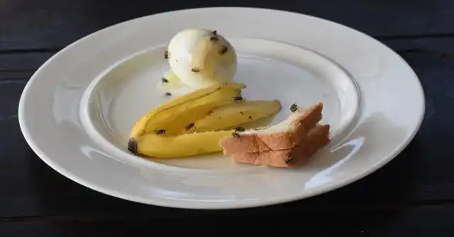 Питается муха экскрементами домашних и диких животных, разлагающейся органикой и пищевыми продуктами. Причём комнатная муха является полифагом, то есть, способна питаться любой доступной пищей