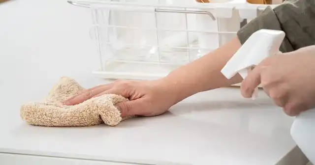 От мух можно использовать также эфирные масла на основе этих растений или эвкалипта и любых цитрусовых. Капельки масел наносят на поверхности