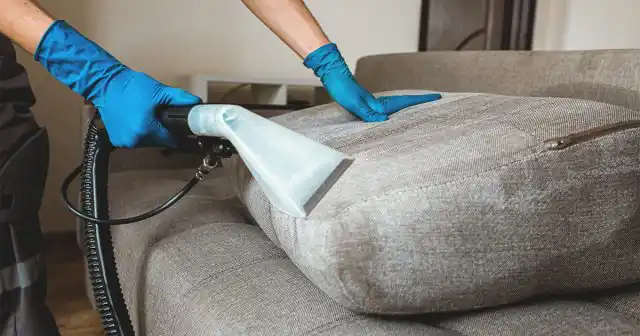 Взрослых блох из труднодоступных мест можно извлечь с помощью мощного пылесоса. После уборки пылесборник необходимо сразу же поместить в полиэтиленовый пакет, плотно его завязать и выбросить