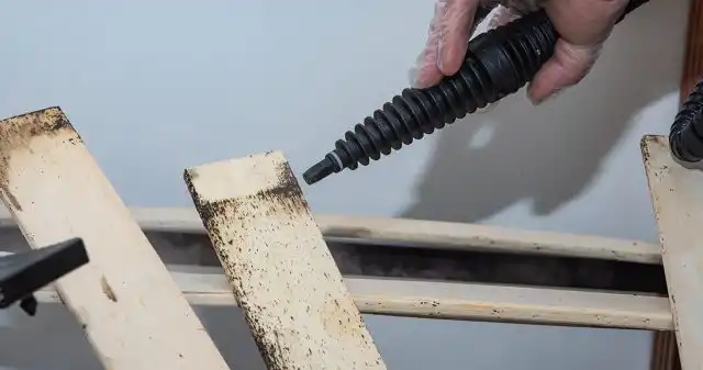 Чаще всего паразитов уничтожают другими двумя способами: термическим (высокими или низкими температурами) и химическим (бытовыми или заводскими инсектицидами)