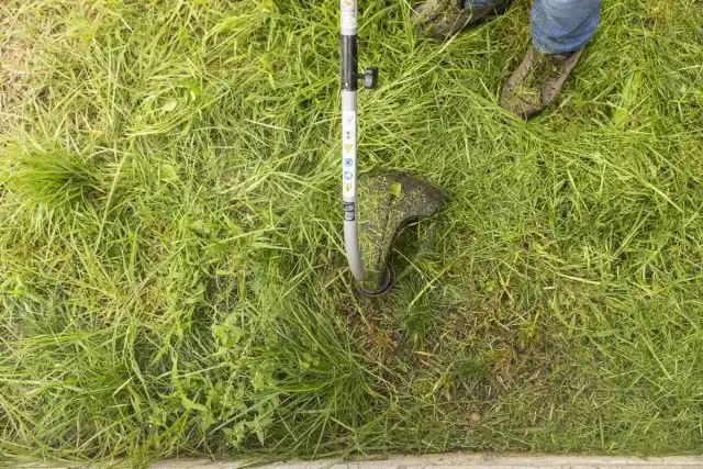 Для зашиты от клещей косите траву, особенно по краям участка