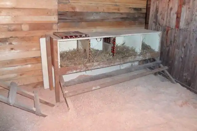 Если вы будете разводить индоуток круглогодично, то необходимо сразу предусмотреть для них тёплый сарай