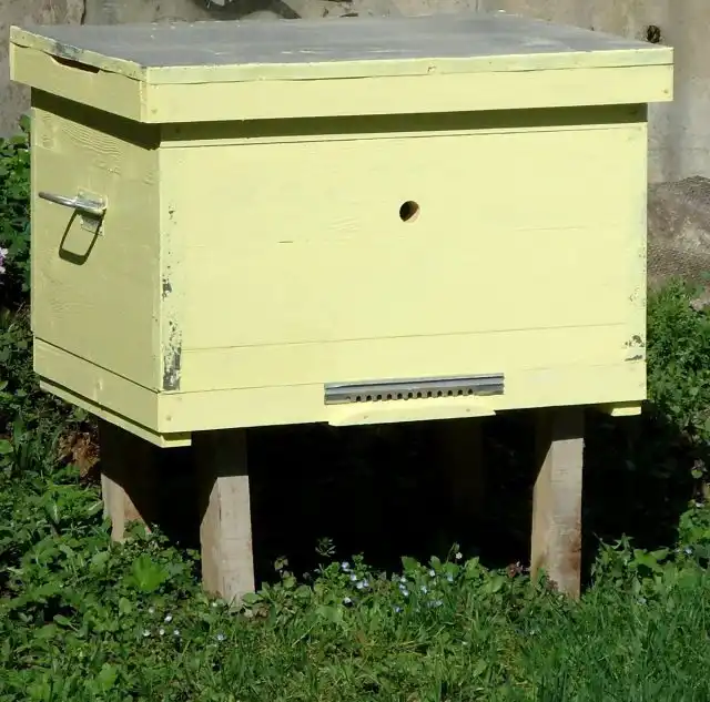 Улей-лежак ждёт пчёл