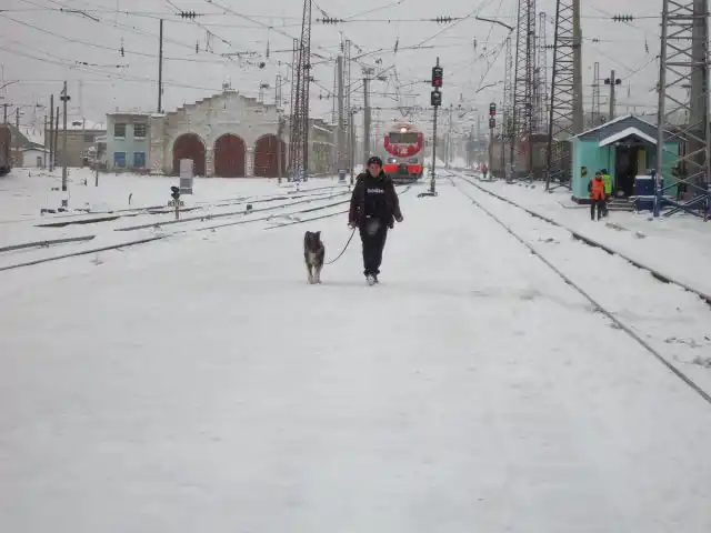 Гуляю с собакой во время остановки поезда