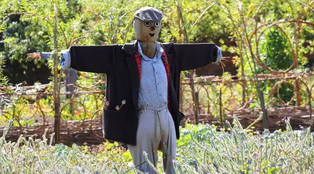 Один из самых широко известных и простых методов отпугивания голубей - пугало